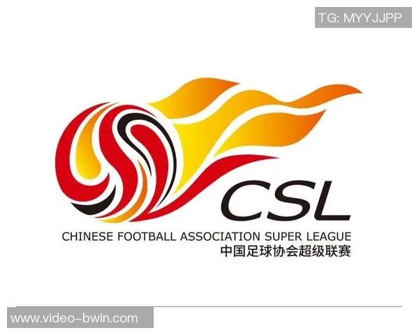 足球协会人员的职责与发展对中国足球未来的影响分析